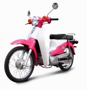 2012 Tiger Future 110 photo